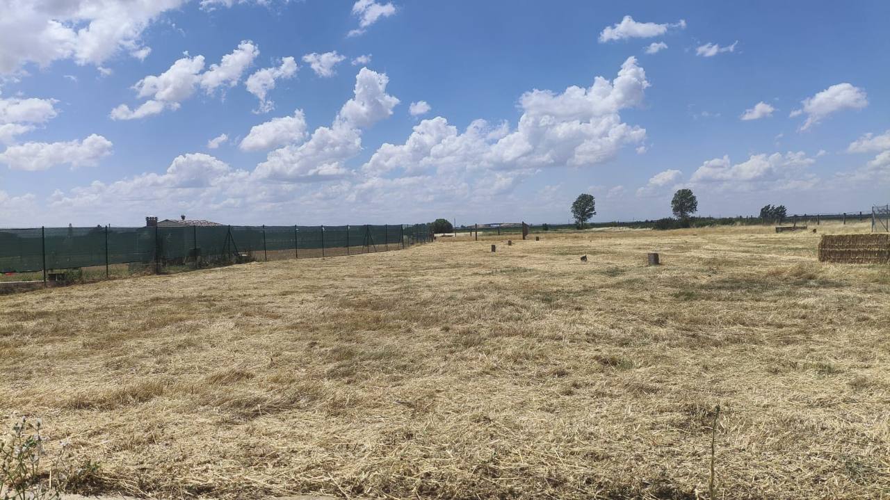 Finca desbrozada en la provincia de Leon. Trabajo de mantenimiento, poda, tala y desbroce en finca rustica.