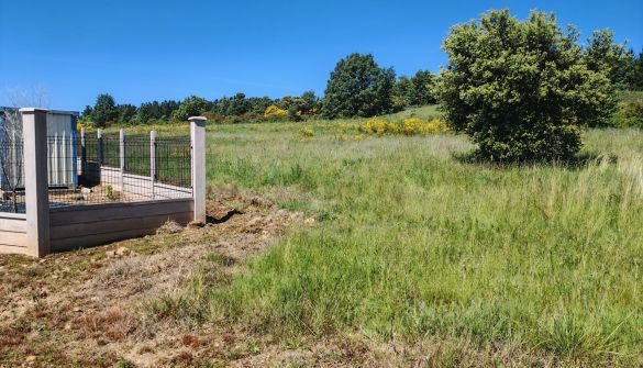 Finca desbrozada en la provincia de Leon