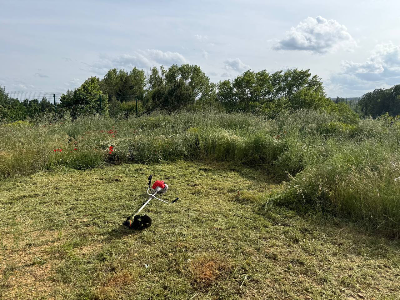 Maquinaria realizando desbroce